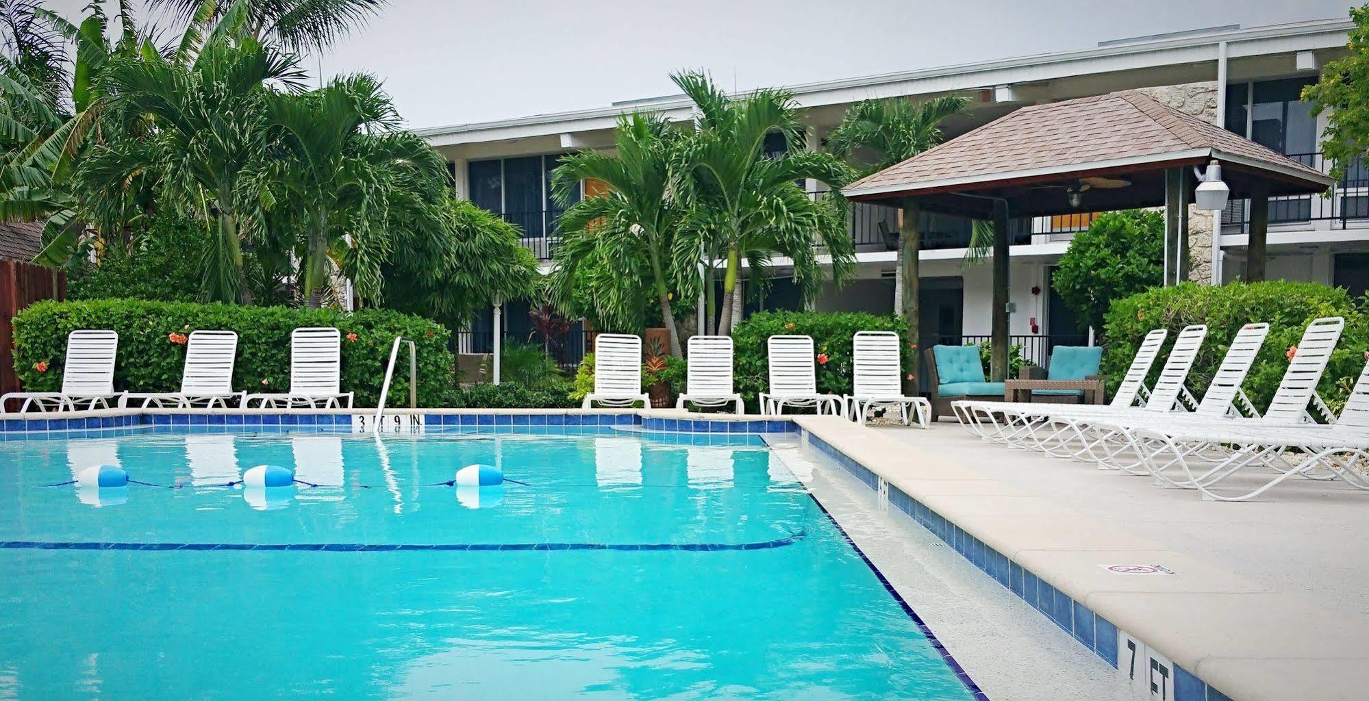 Dolphin Key -